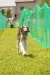 2010N 1ʁ@T@iT[Lj