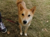2010N 1ʁ@䎟@iČj
