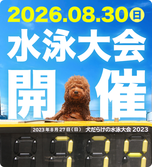 2026年08月30日 水泳大会開催