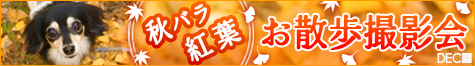 ���U���B�e��i�H�o���E�g�t�j