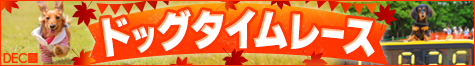 �h�b�O�^�C�����[�X