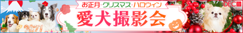 �����B�e�� �`�������E�N���X�}�X�E�n���E�B���`